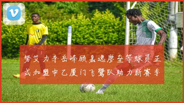 努艾力李岳峰顾嘉逸廖垒等球员正式加盟中乙厦门飞鹭队助力新赛季